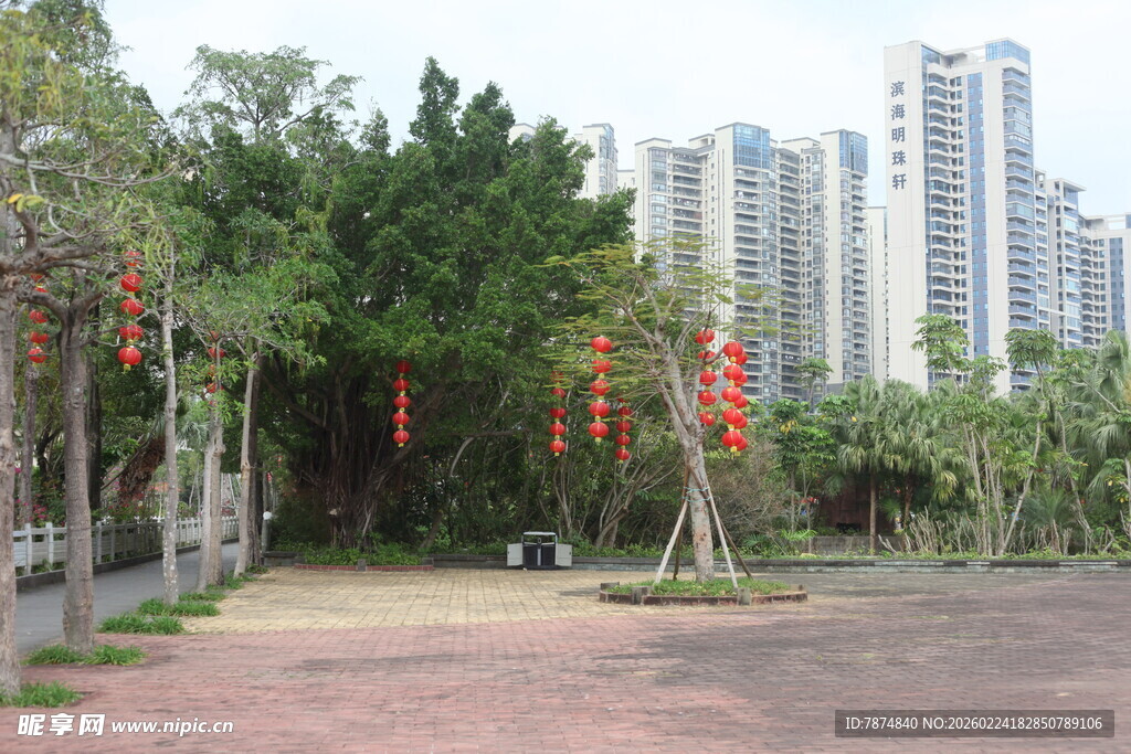 城市中静谧的园林景观