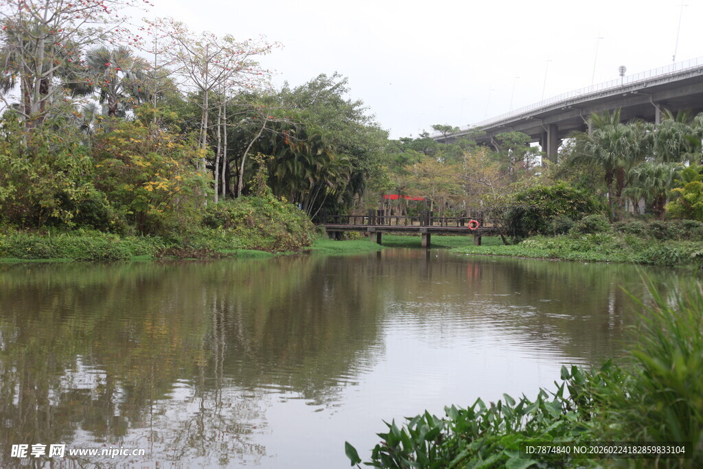 湖畔绿植环绕的宁静风光