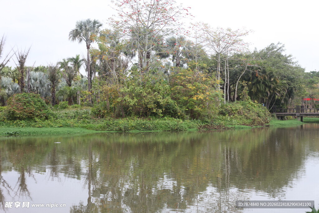 湖畔绿植环绕的静谧风光