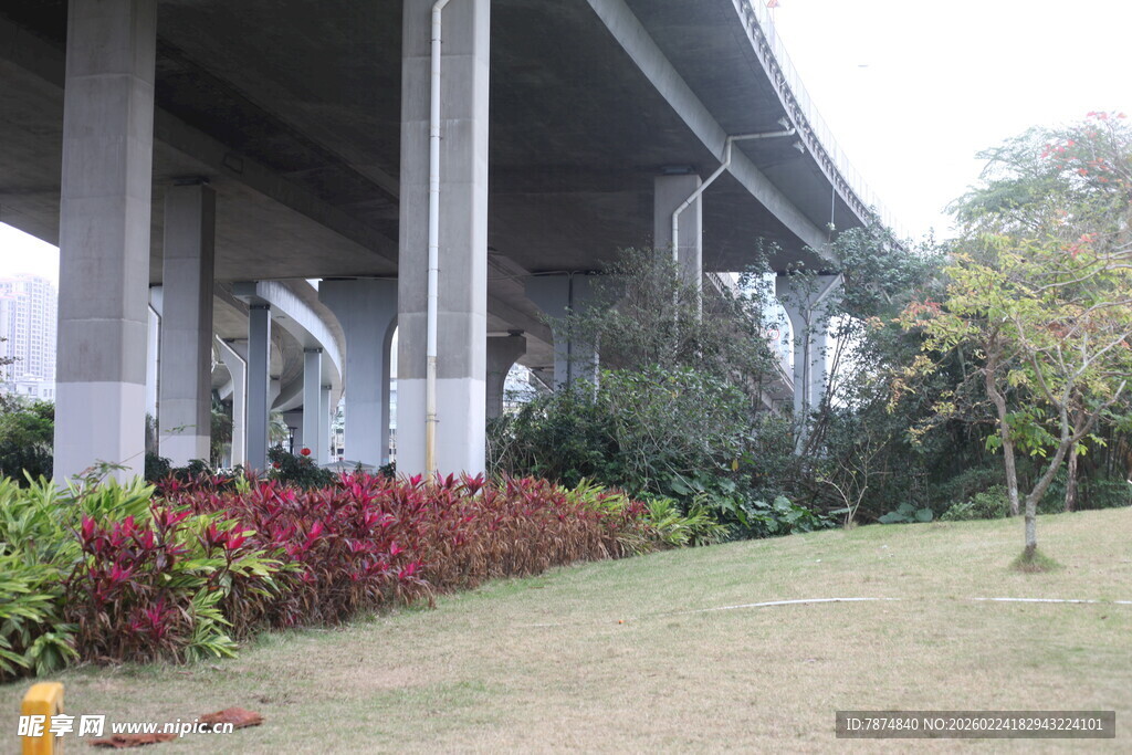 高架桥边的绿植景观