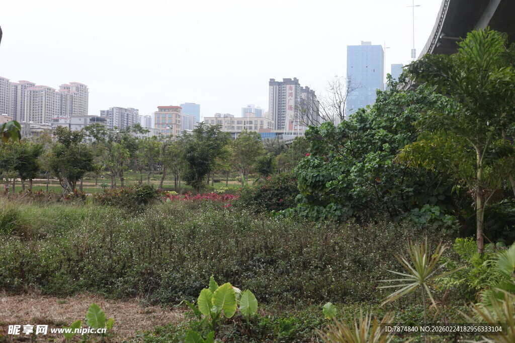 城市中的自然绿地景观