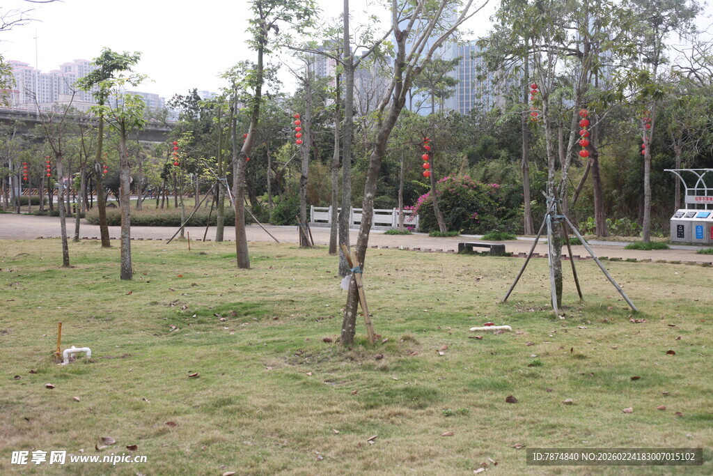 户外空旷草地与树木景观