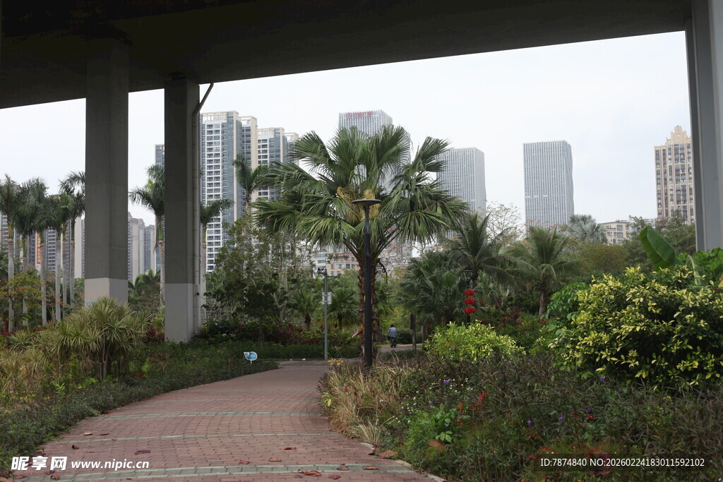 桥下绿植环绕的幽静小径