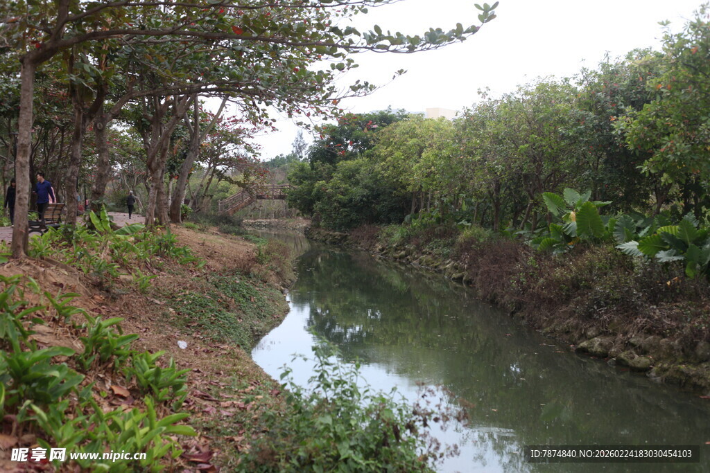 乡村小河畔的自然景致