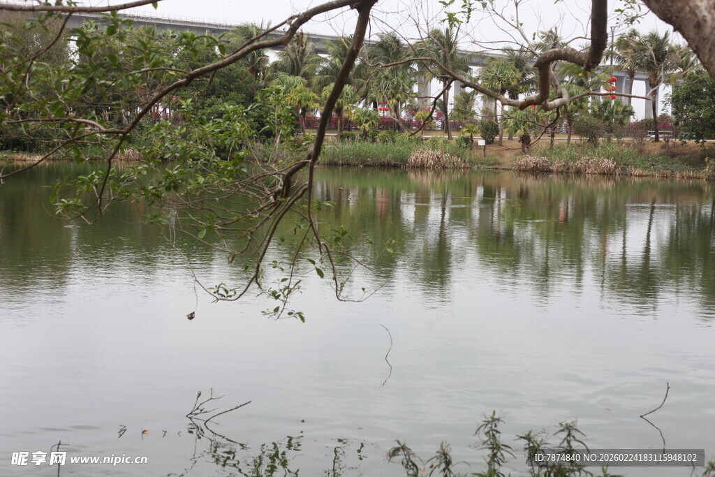 湖畔垂柳映碧水