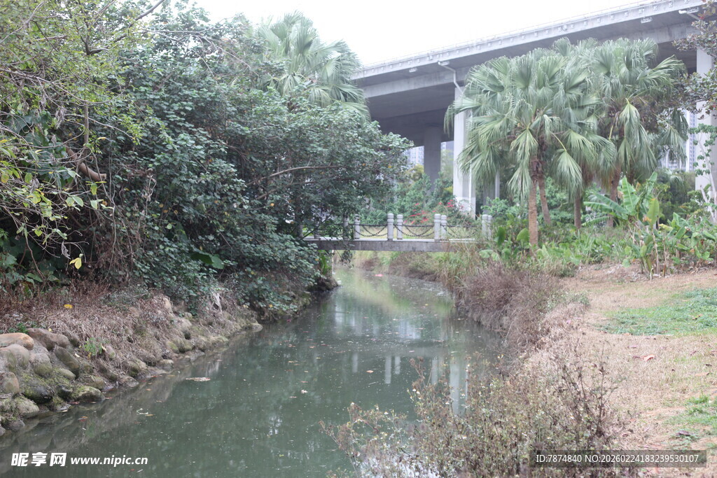 河畔绿植环绕的宁静景致