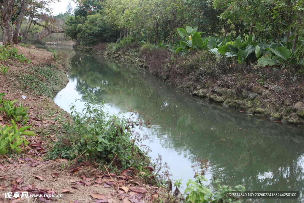 乡村小河畔的自然景致