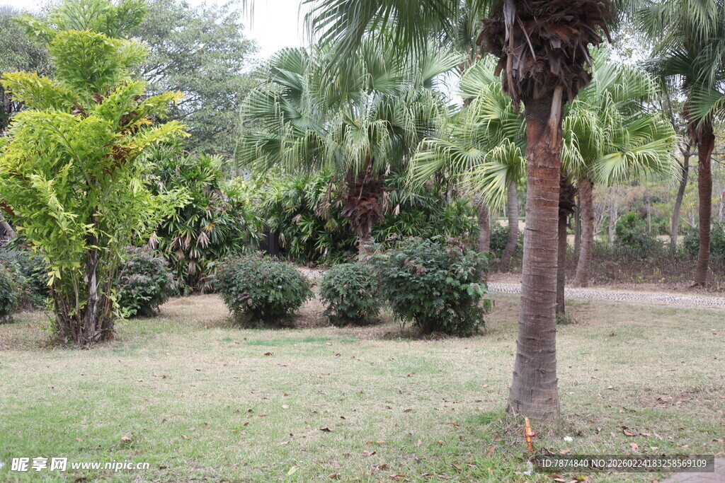 户外绿意盎然的植物景观