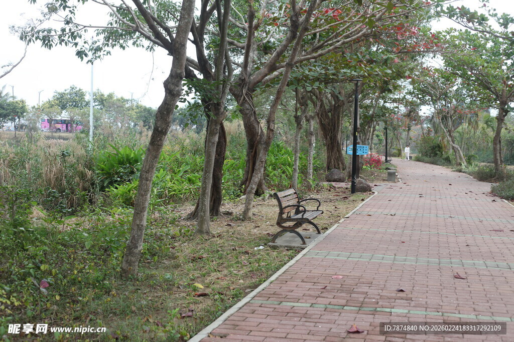 林间砖道旁的休憩长椅
