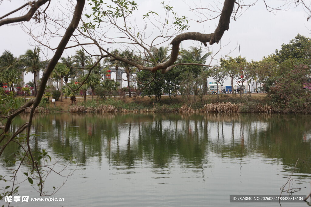 湖畔景致 静谧自然风光