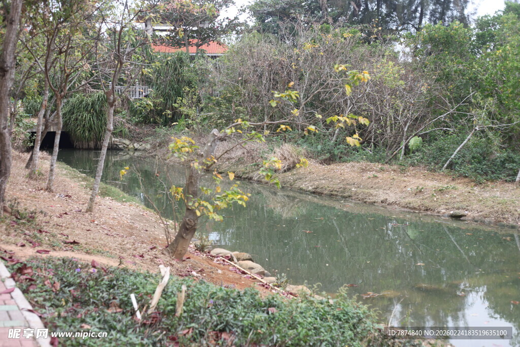 湖畔绿树环绕的自然景致