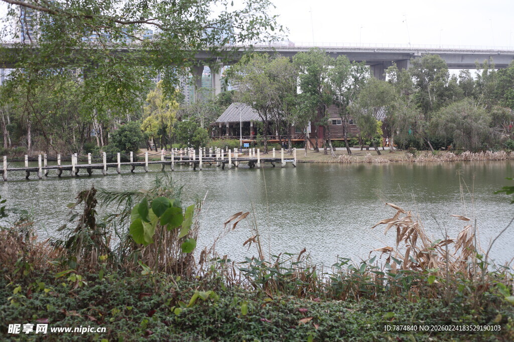 湖畔自然风光景色