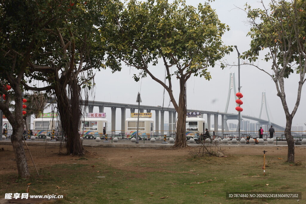 公园旁的桥梁景观