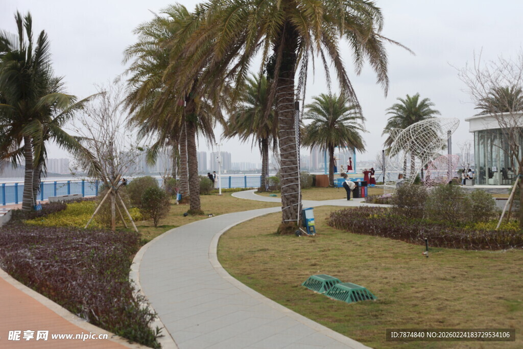 海滨公园的棕榈树与步道