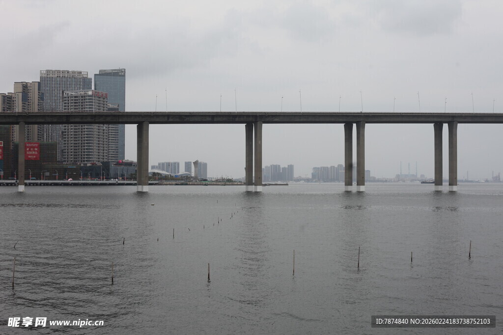 城市水域上的桥梁景观