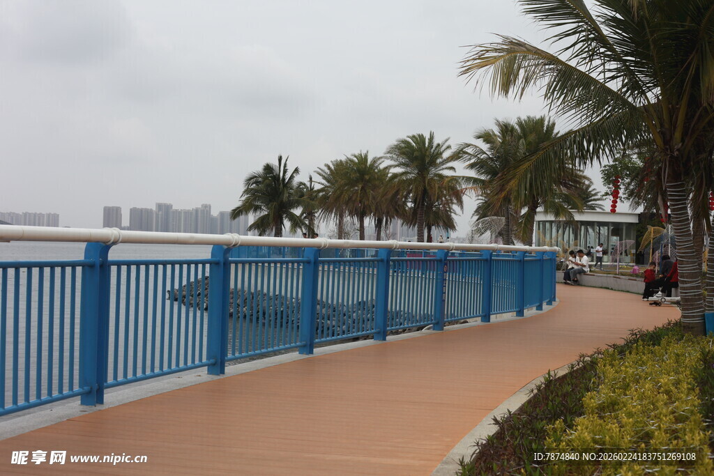 海滨蓝栏杆旁的椰树步道