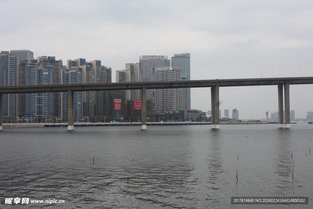 城市江景中的高架桥