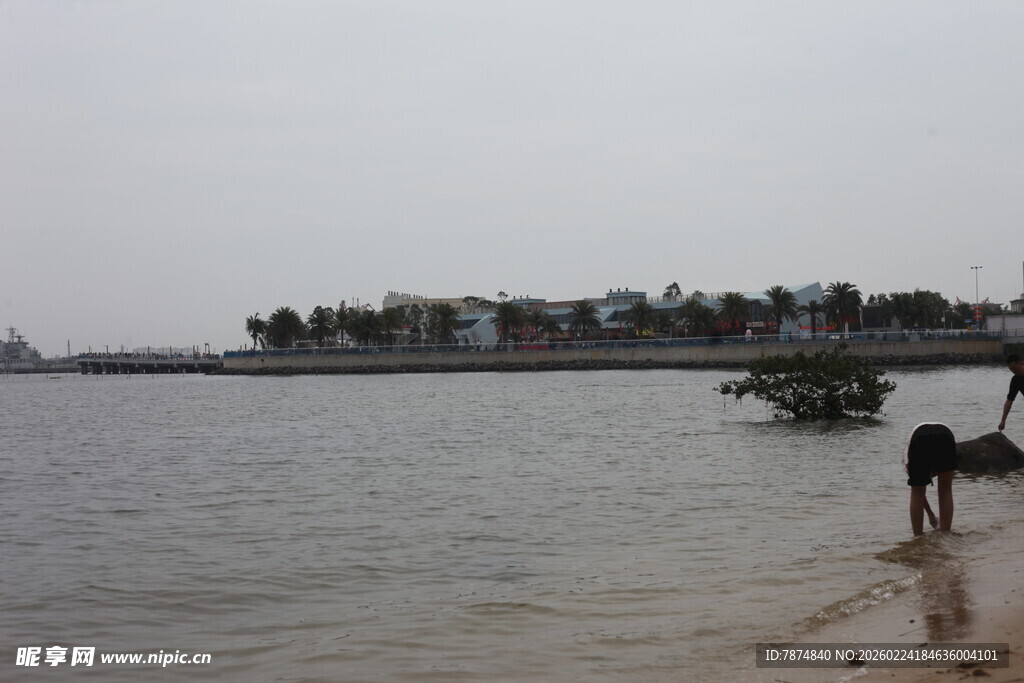 岸边人与狗的宁静水岸景