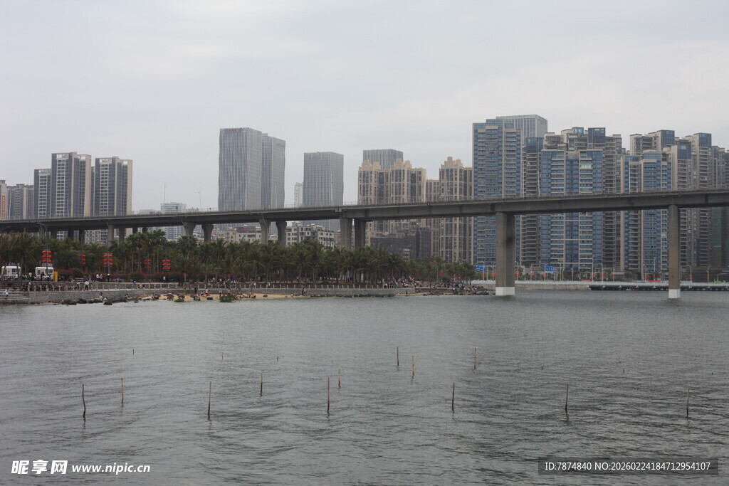 城市河畔桥梁与高楼景观