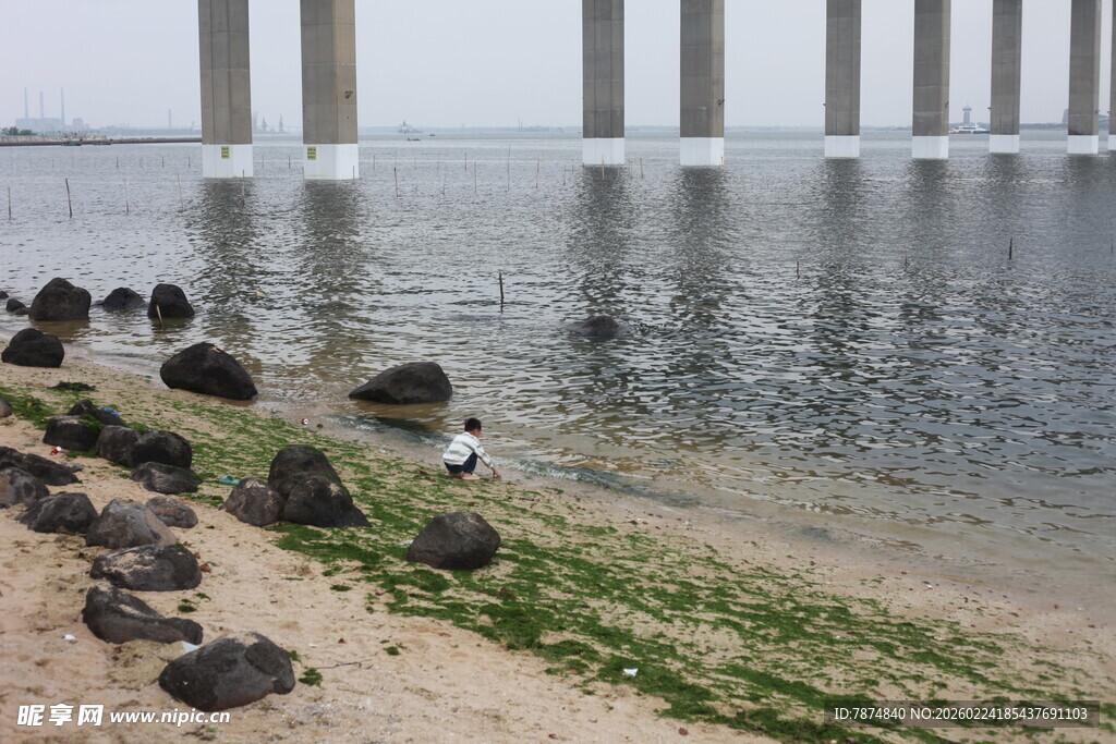 海边桥梁下的静谧景致