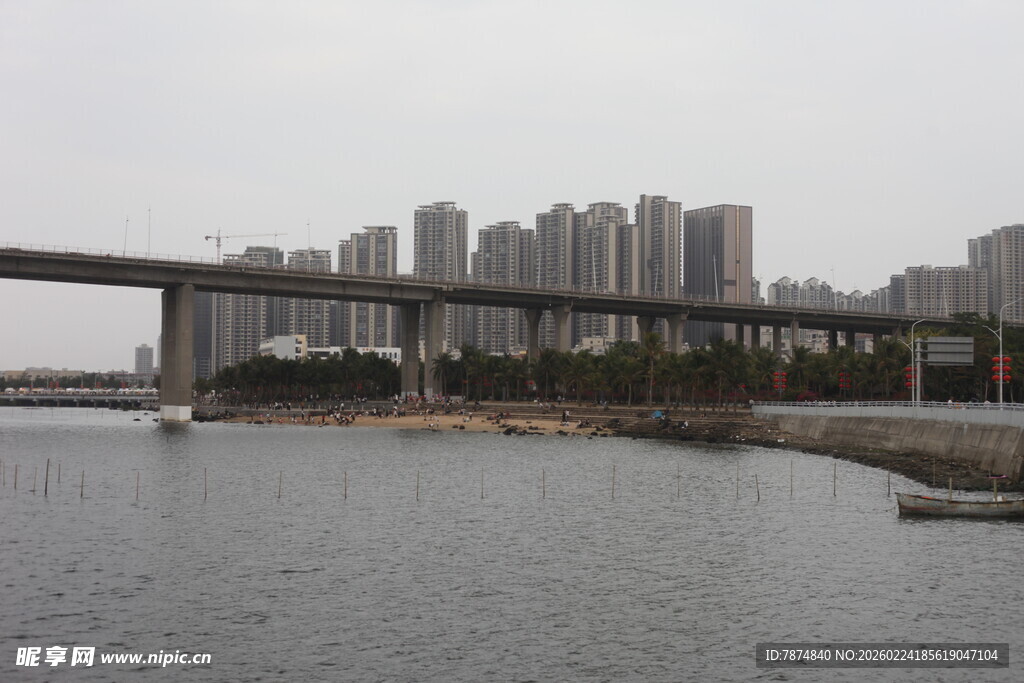 城市江畔桥梁与高楼景观