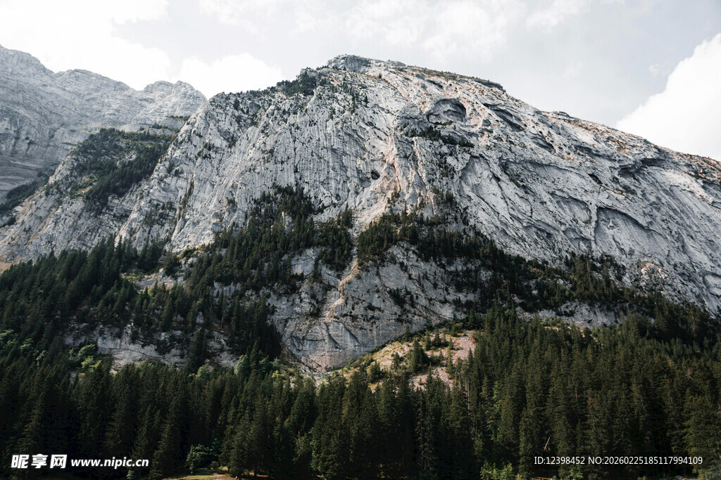 巍峨山峦下的茂密森林