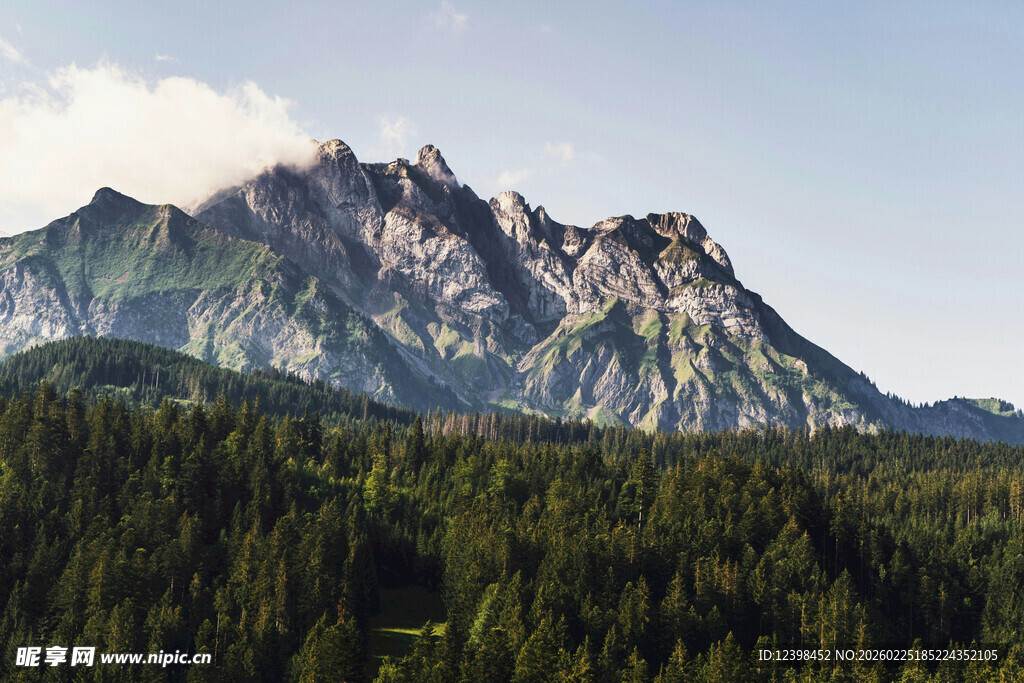巍峨山峦下的茂密森林