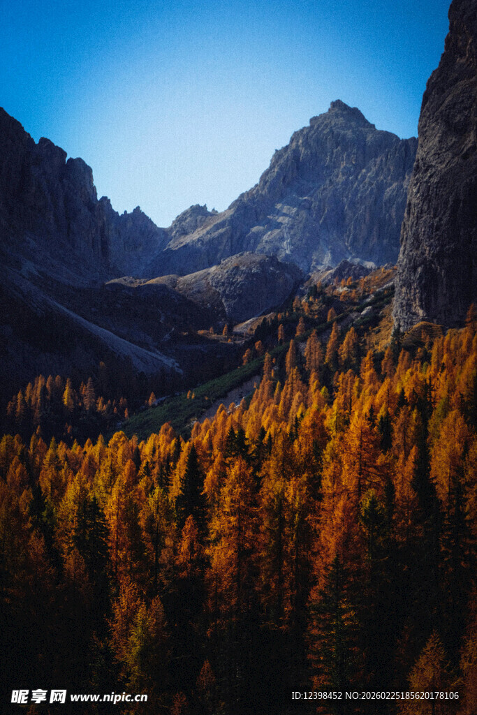 秋日山林间的壮美山景