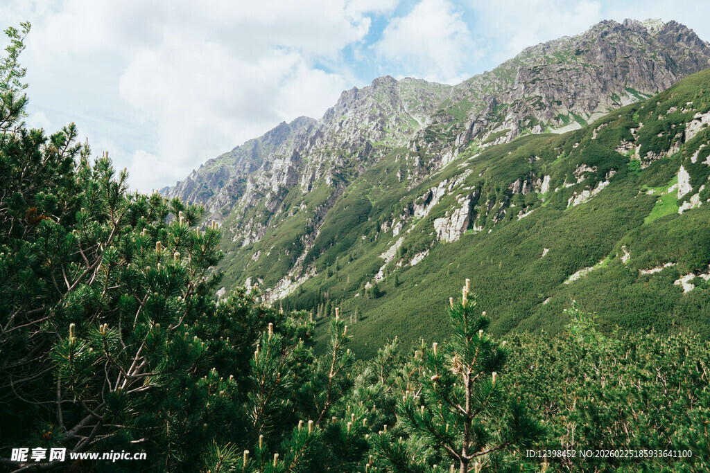 山间绿意盎然的秀丽景致