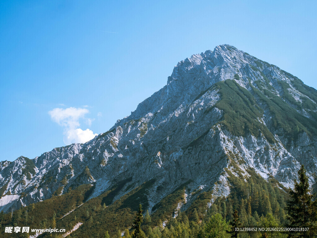 巍峨青山伴葱郁林木