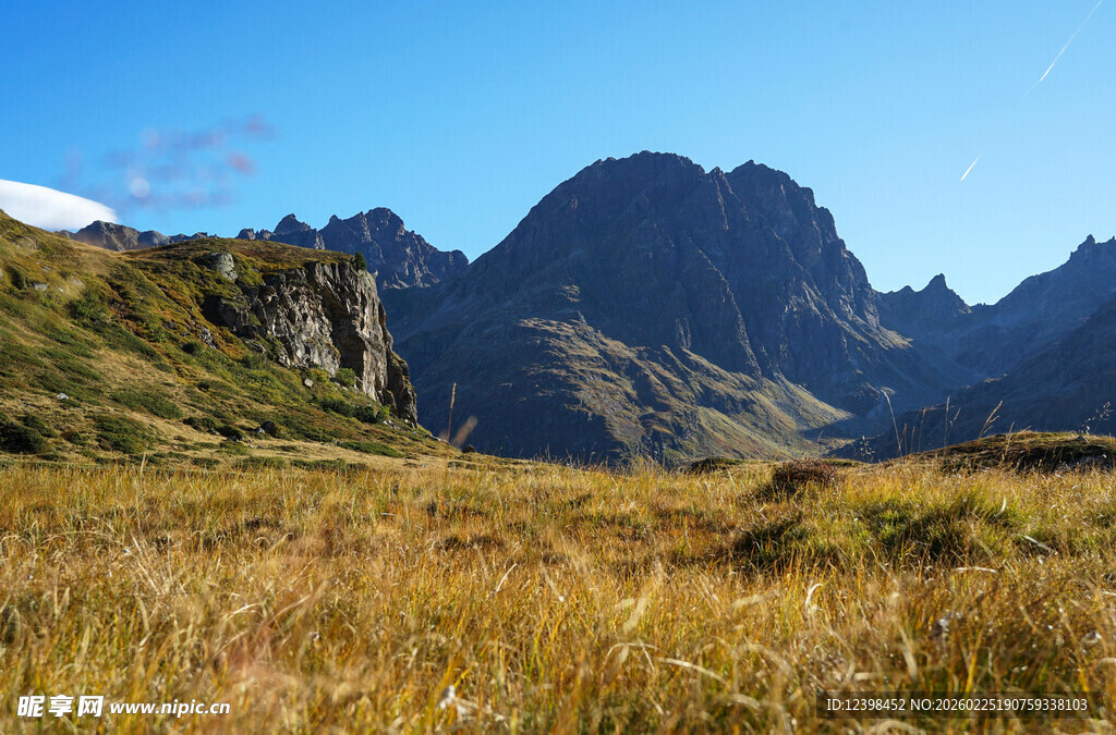高山草甸壮丽自然风光