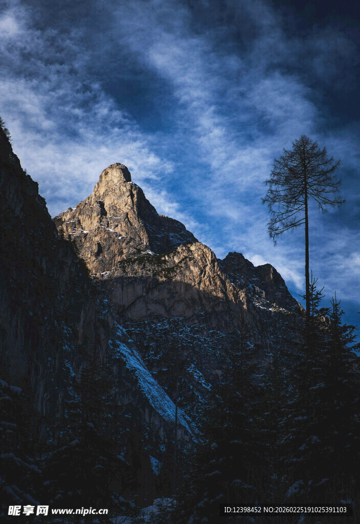 巍峨山峰与孤树的景致
