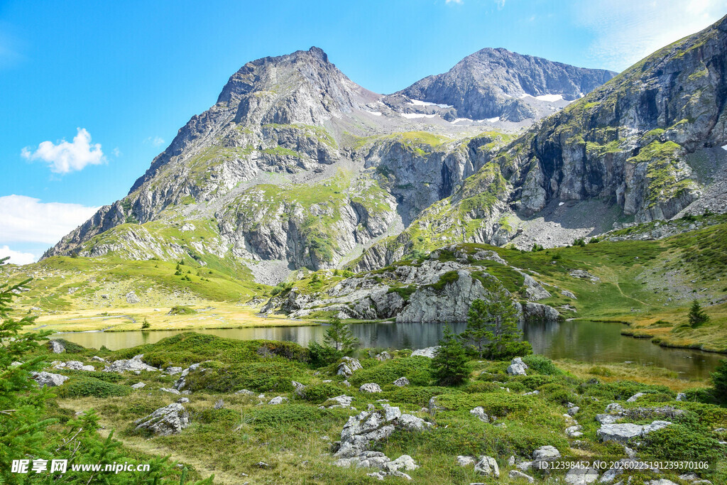 壮丽高山草甸景观