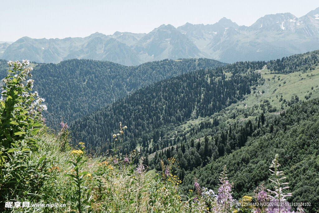山间绿野繁花美景