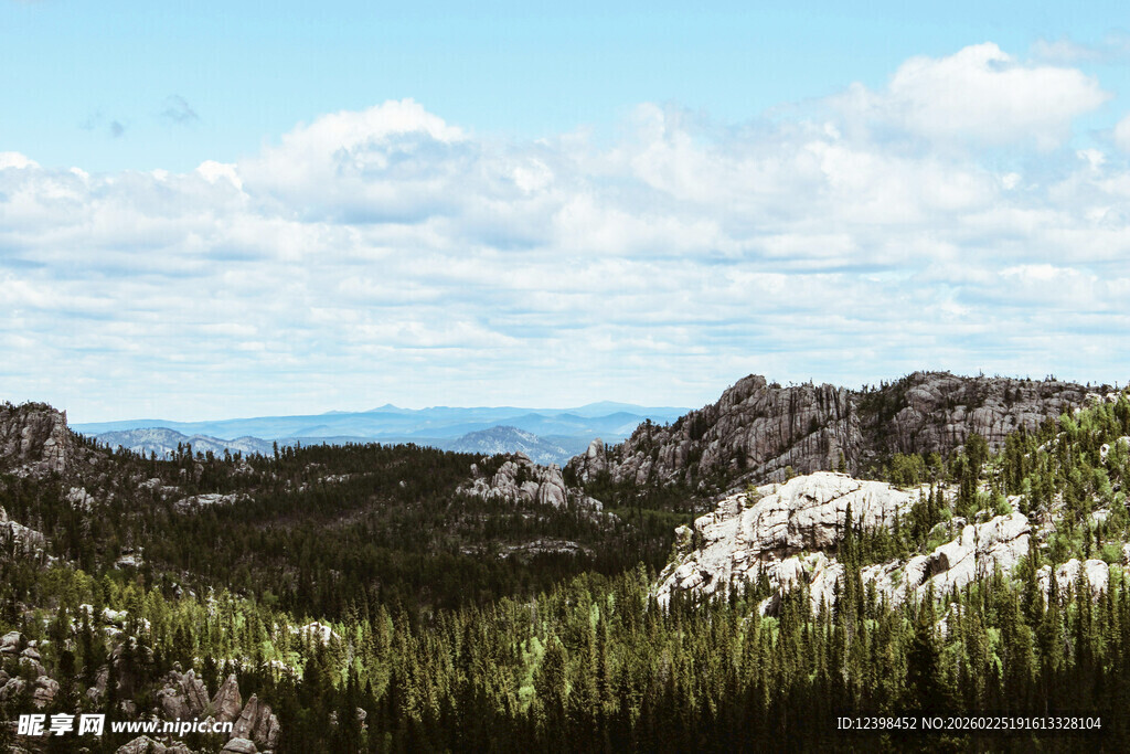 壮丽山景与葱郁森林