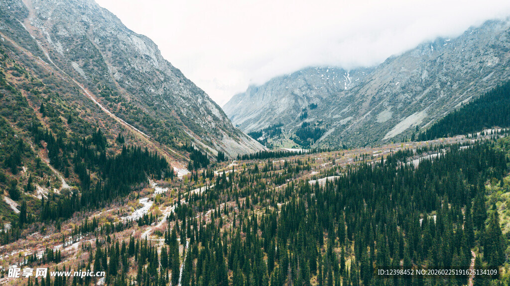 山谷中的葱郁山林与道路