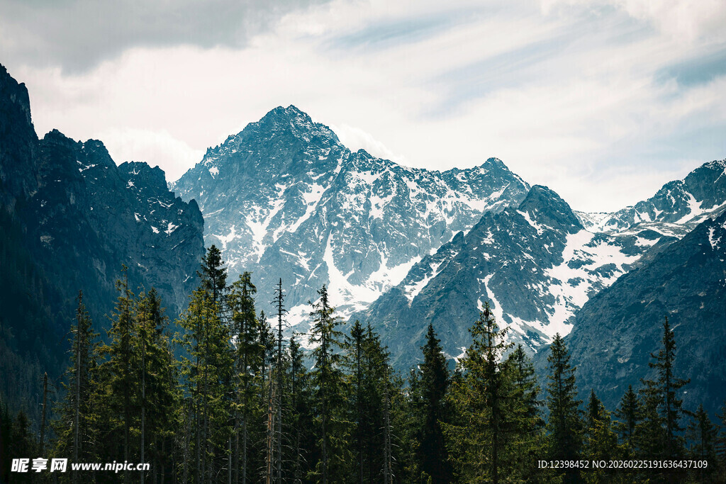 巍峨雪山下的茂密森林