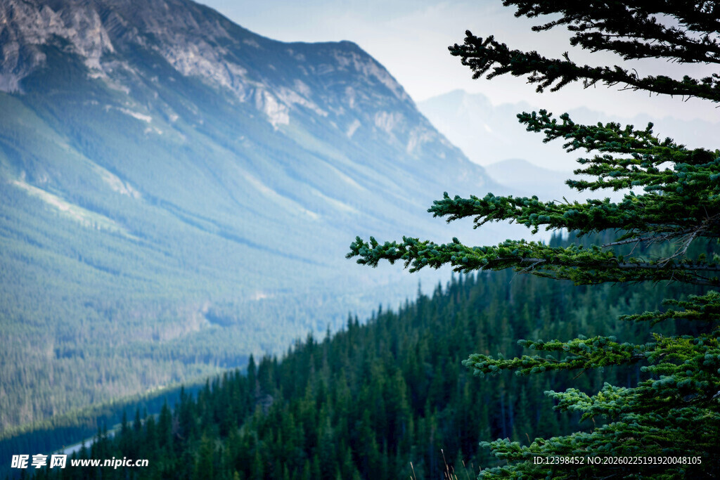 山林间的朦胧山景