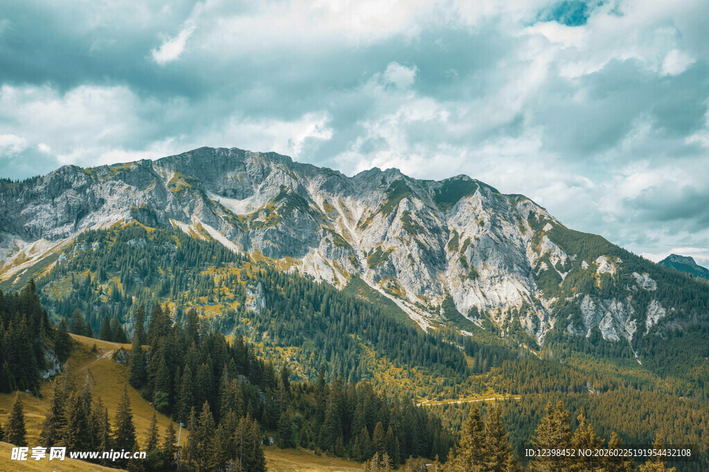 壮丽山峦与葱郁森林景观