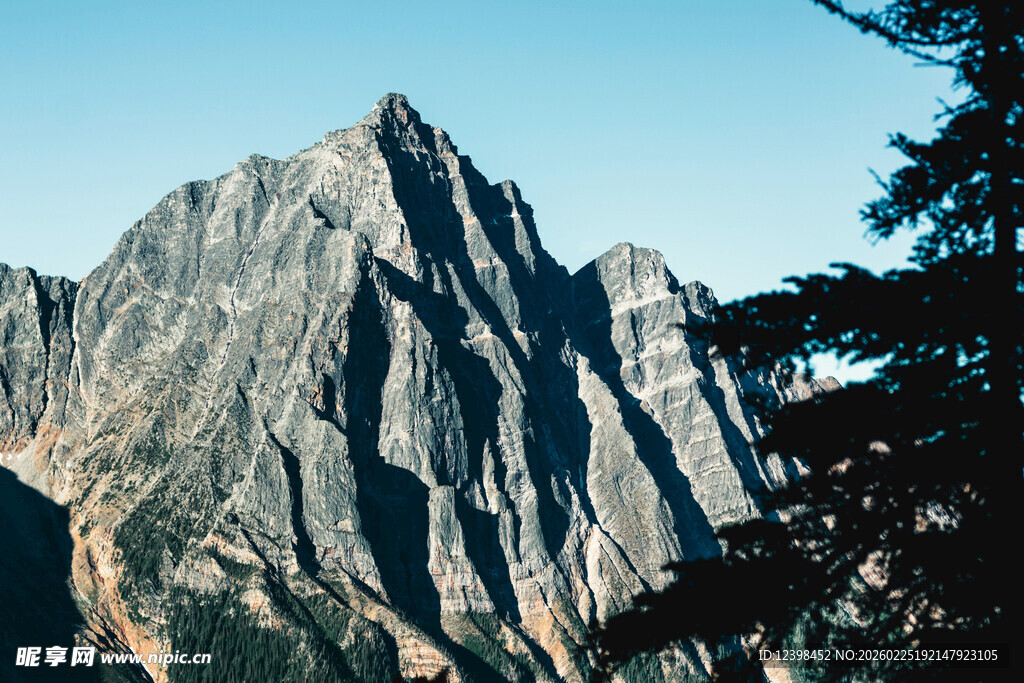 巍峨山峰与旁侧树木景观