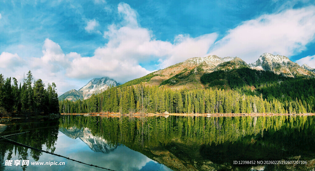 湖光山色中的山林美景