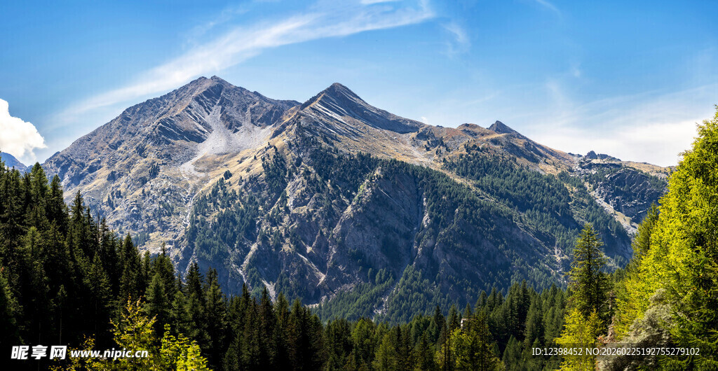 壮丽山景与葱郁森林