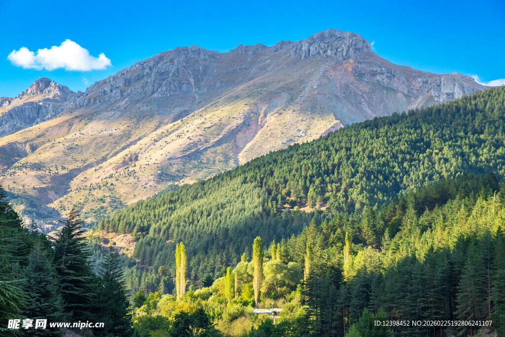 壮丽山景与葱郁森林