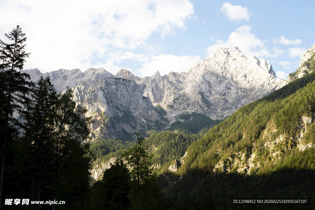 壮丽山景与葱郁森林