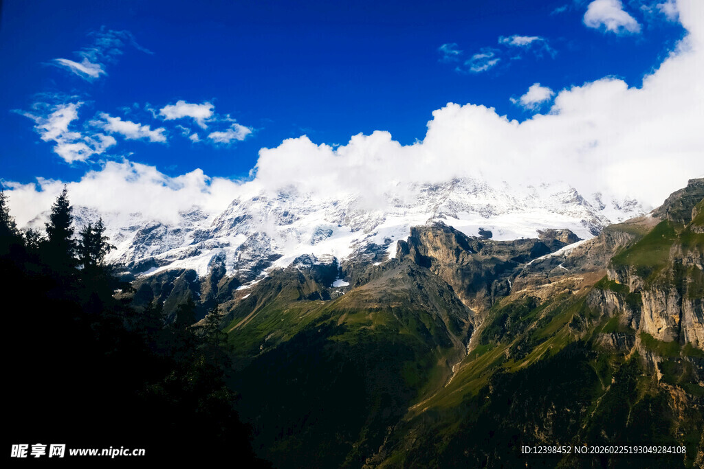 壮丽雪山与蓝天绿树美景