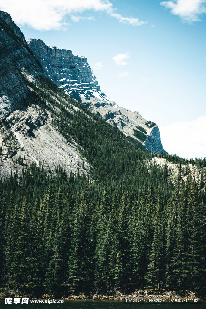 巍峨山峦下的茂密森林