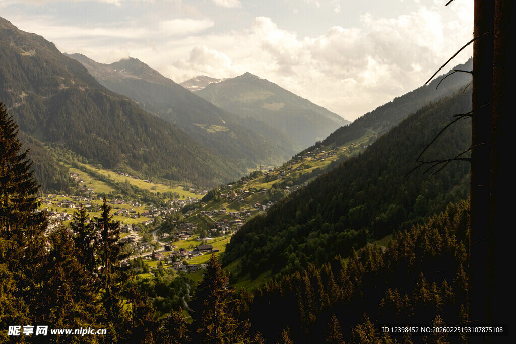 山谷间的葱郁山林美景