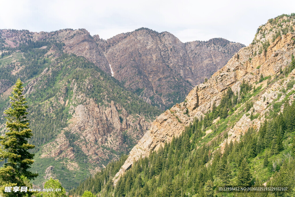 壮丽山景与葱郁植被