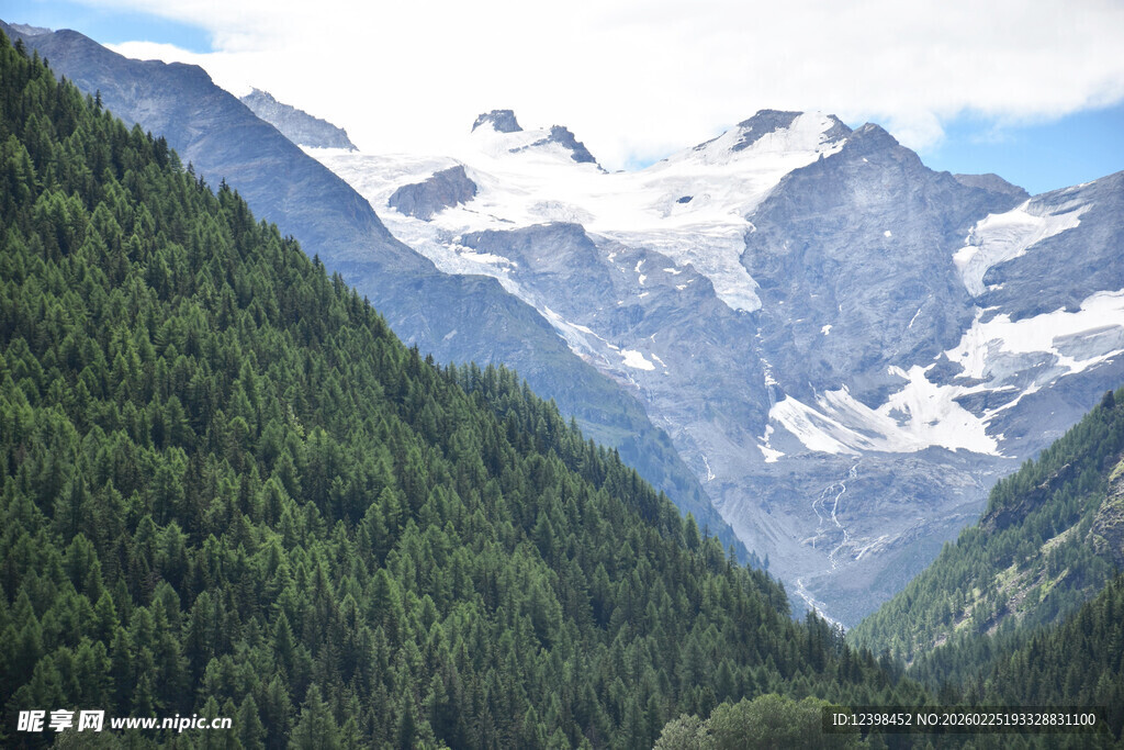 壮丽雪山与葱郁山林景观