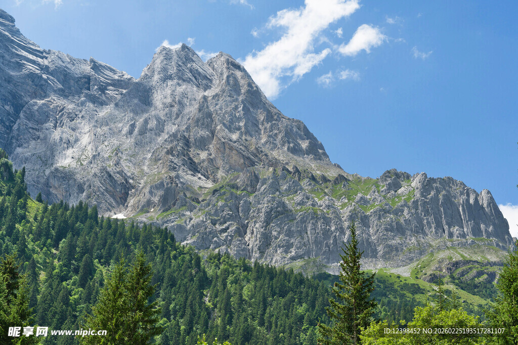 壮丽山景与葱郁森林